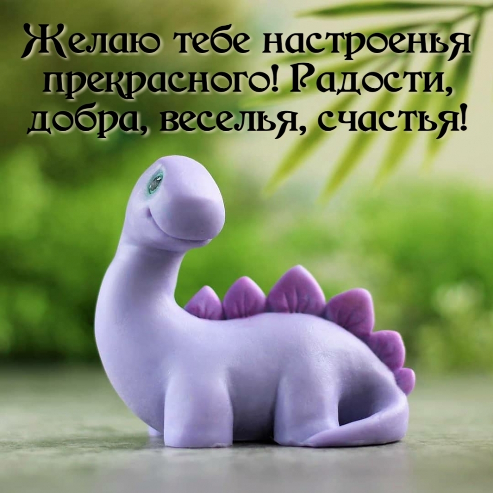 Желаю тебе настроенья прекрасного!