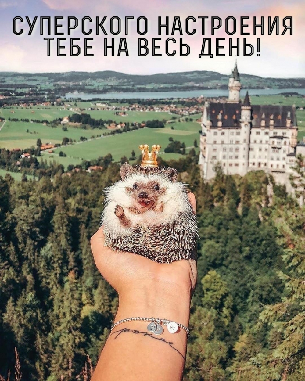Суперского настроения тебе на весь день!