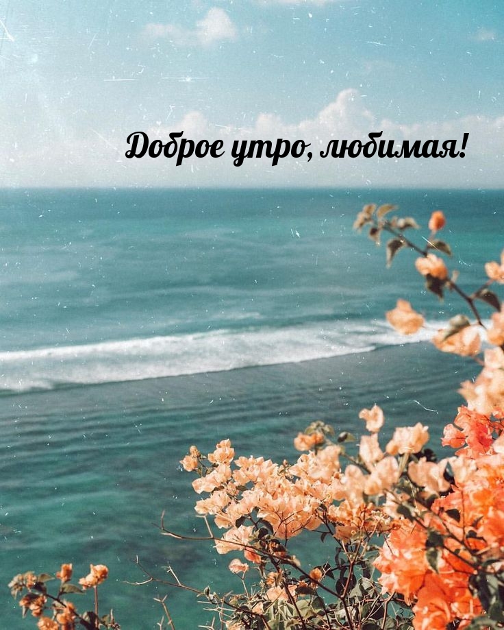 Доброе утро, любимая!