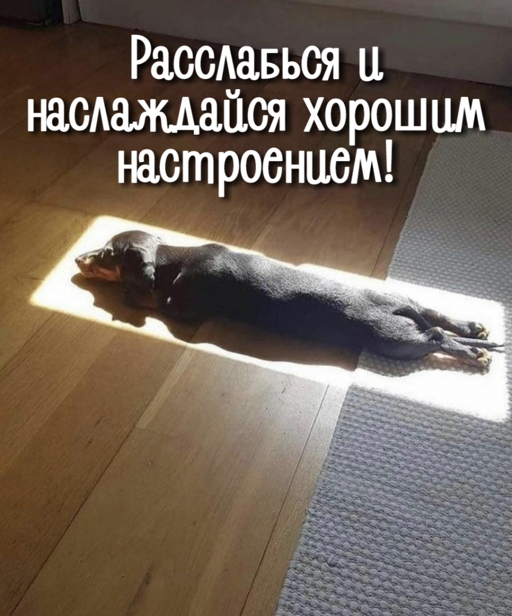 Расслабься и наслаждайся хорошим настроением!