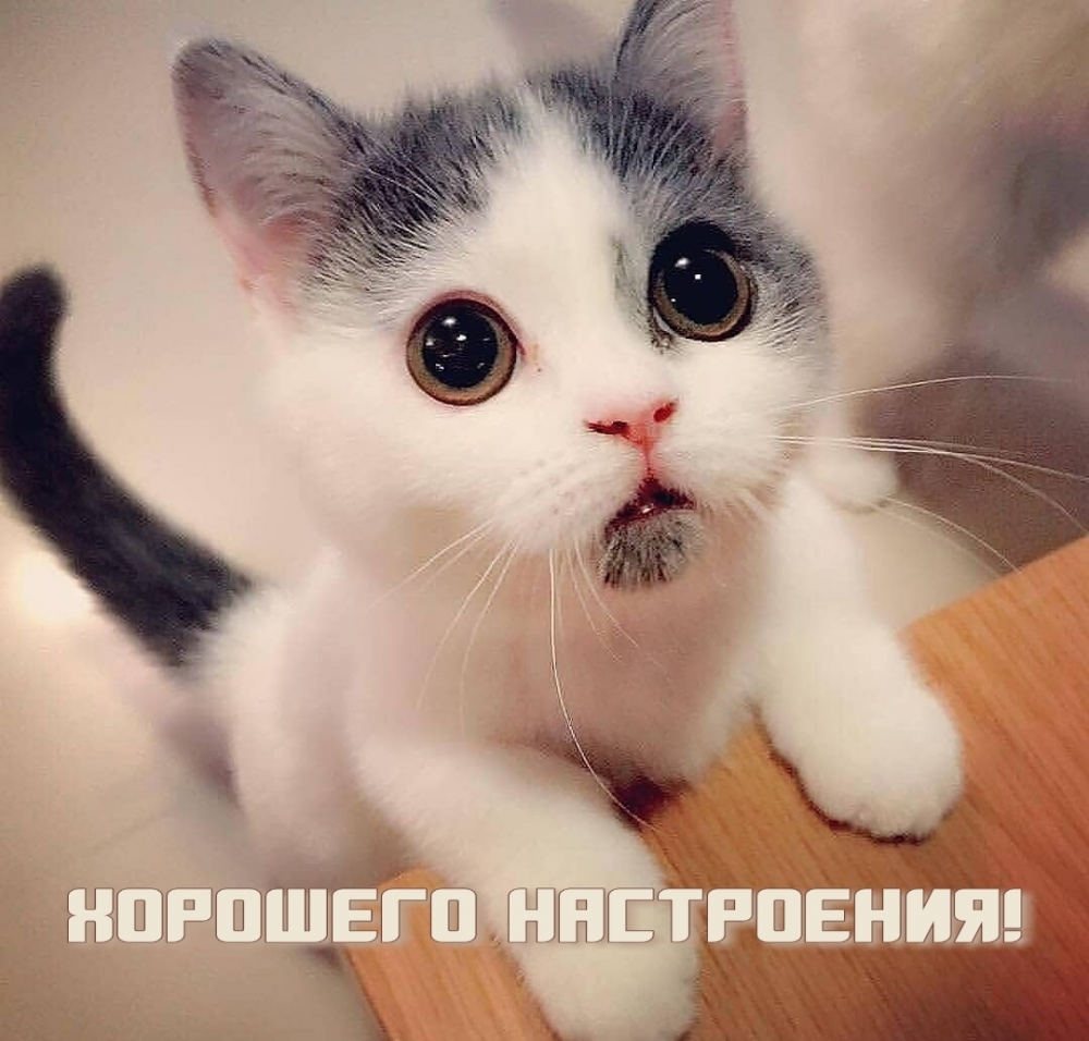 Хорошего настроения!