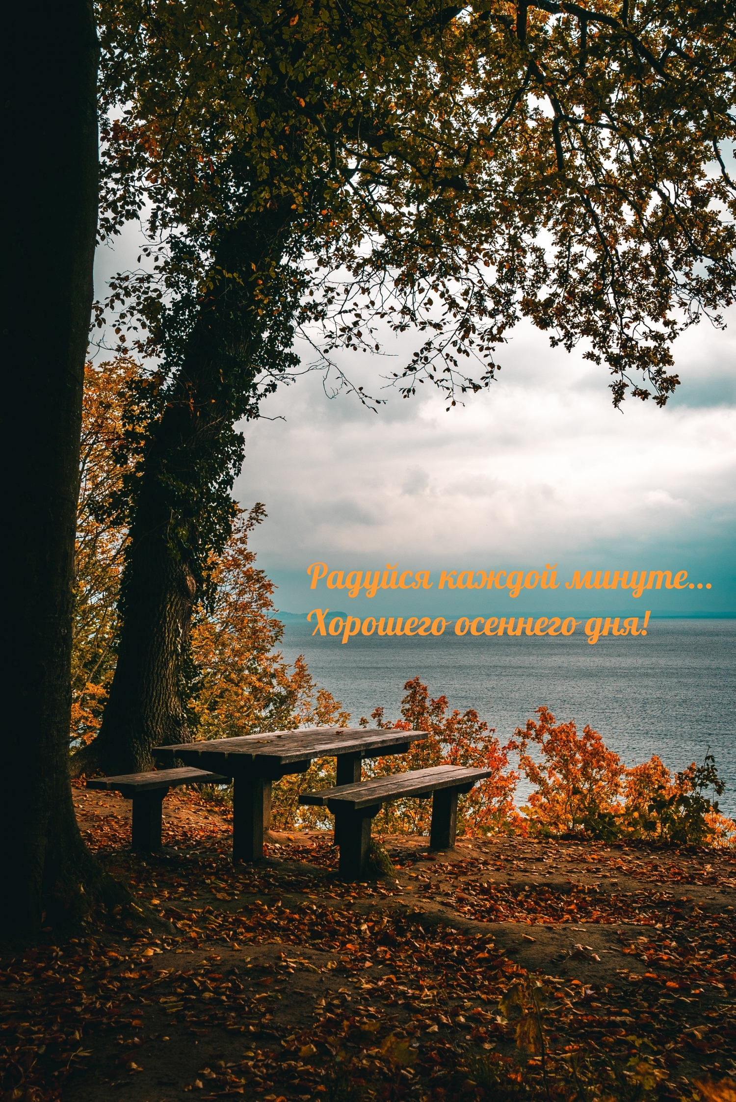 Радуйся каждой минуте… Хорошего осеннего дня!