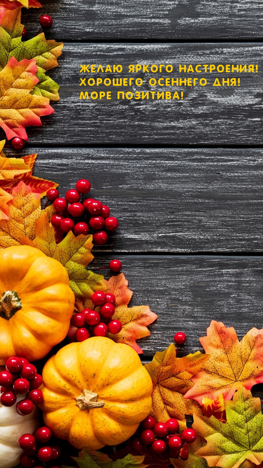 Желаю яркого настроения! Хорошего осеннего дня! Море позитива!