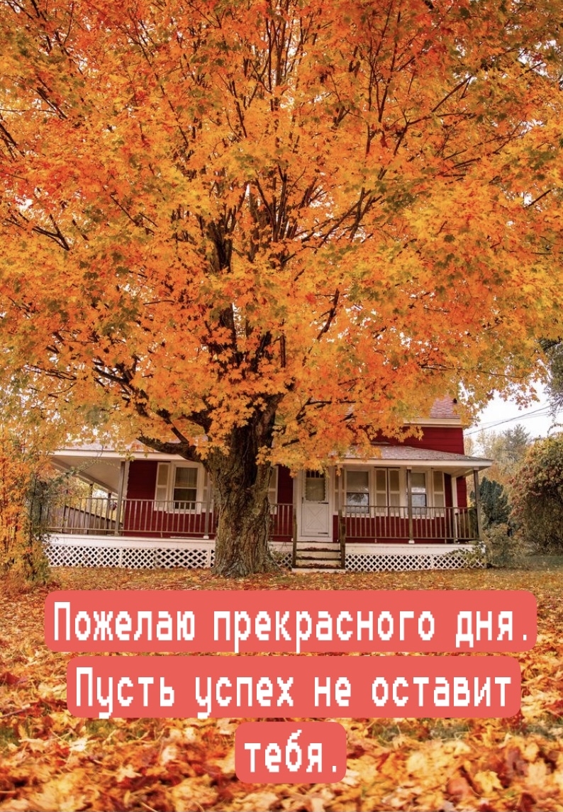 Пожелаю прекрасного дня. Пусть успех не оставит тебя.