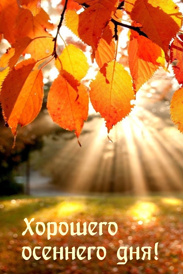Хорошего осеннего дня!