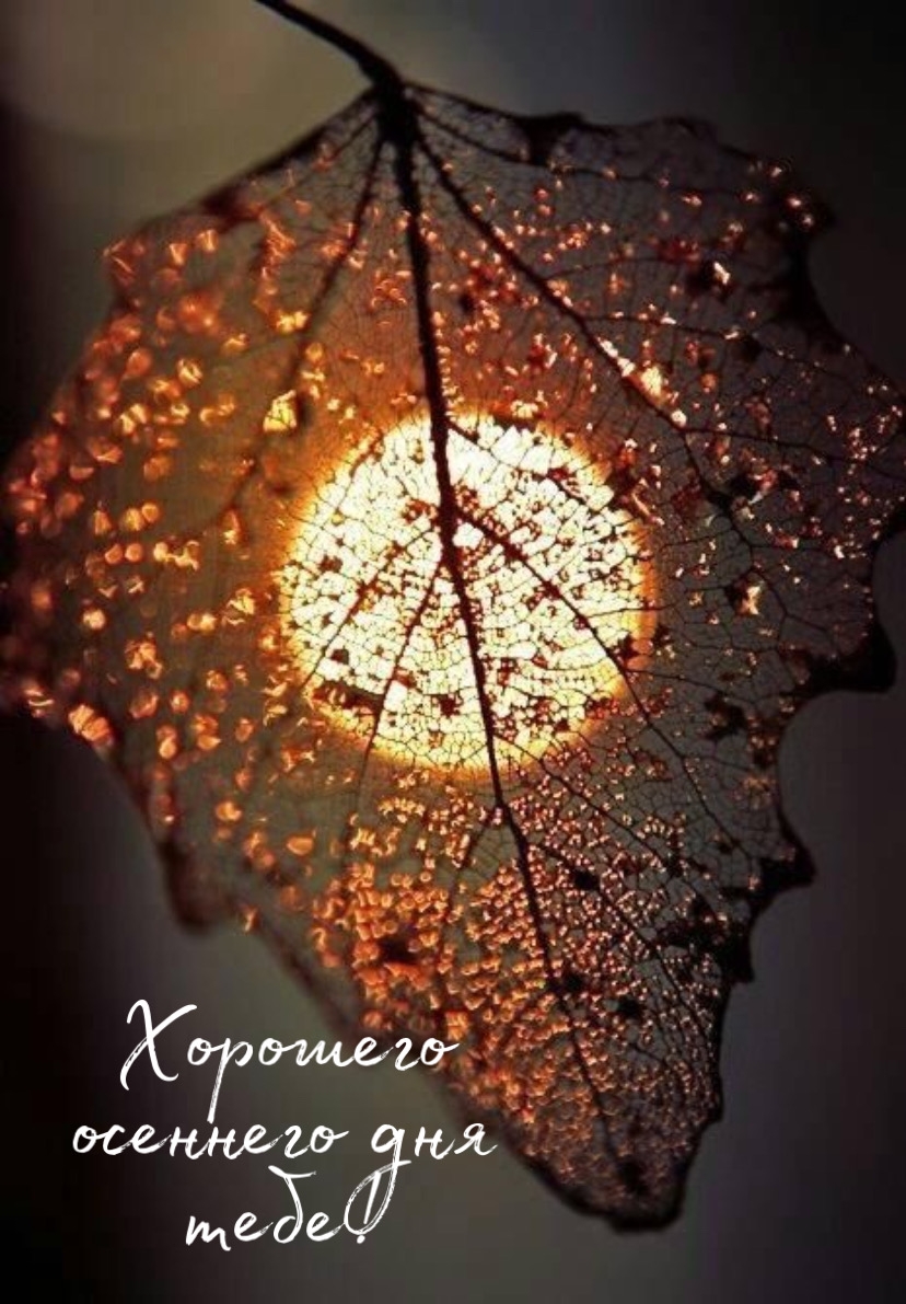 Хорошего осеннего дня тебе!