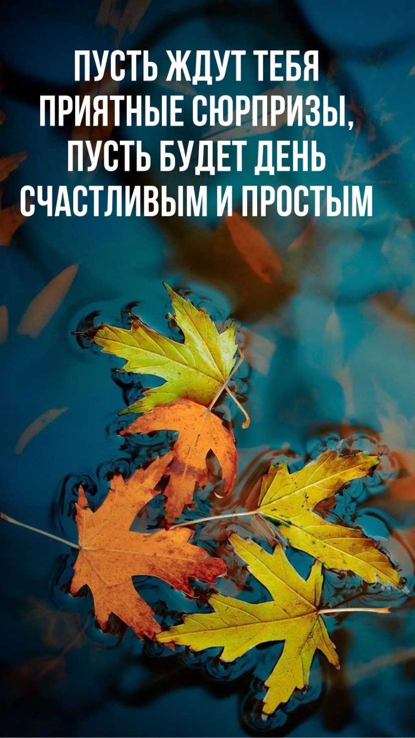 Пусть будет день счастливым и простым