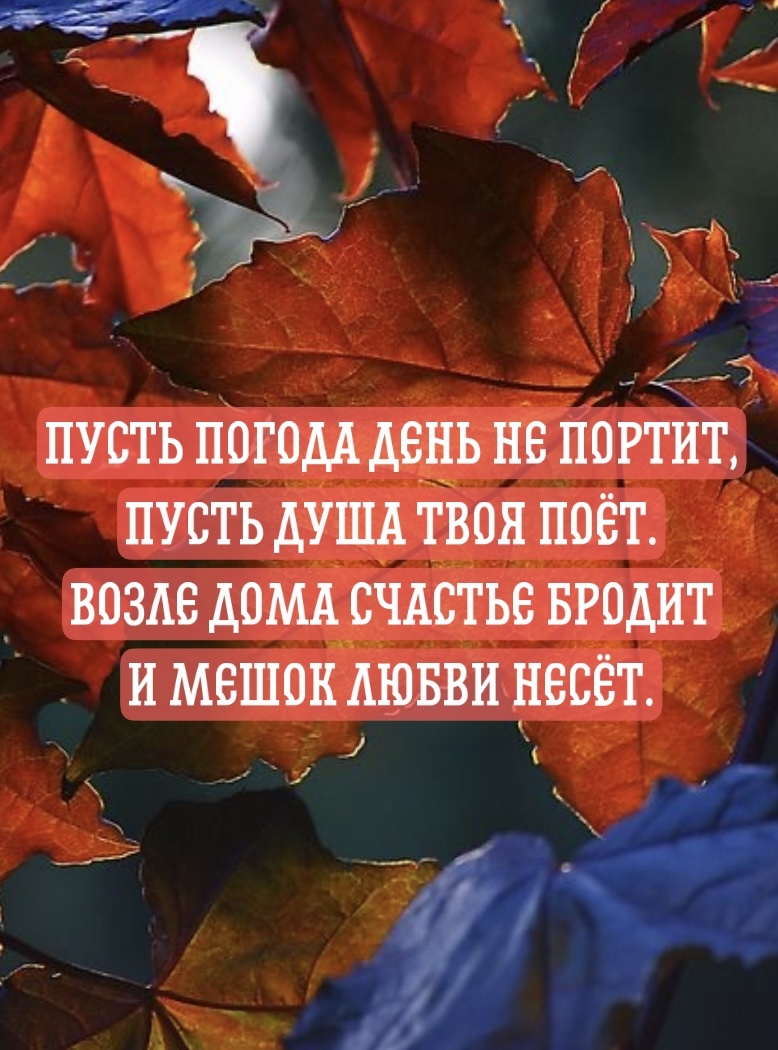 Пусть погода день не портит, пусть душа твоя поёт.