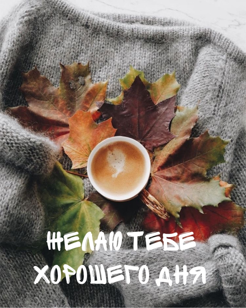 Желаю тебе хорошего дня