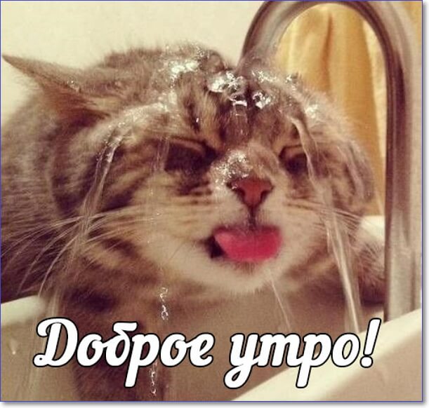 Доброе утро!
