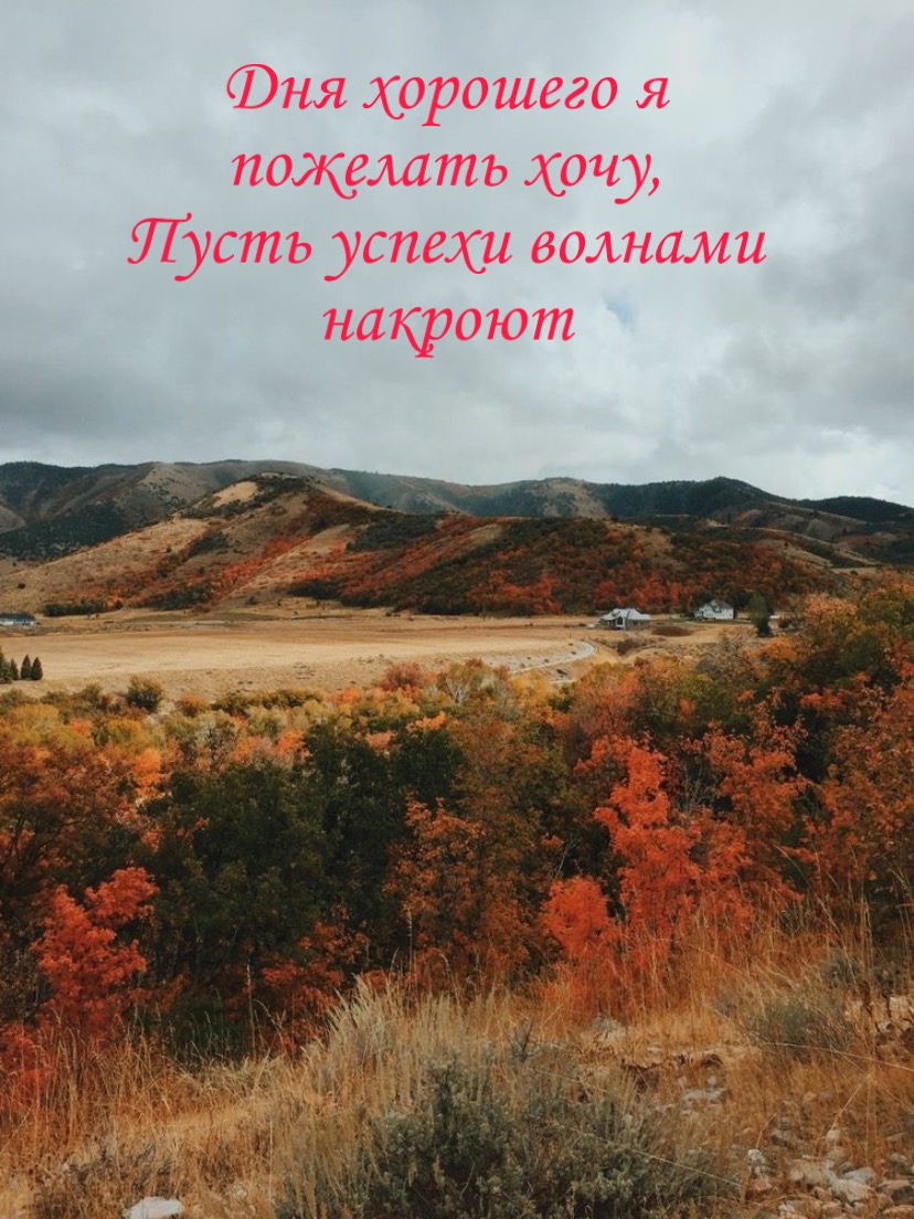 Дня хорошего я пожелать хочу, пусть успехи волнами накроют