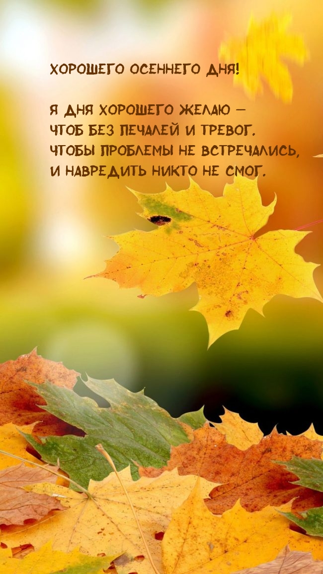 Хорошего осеннего дня!