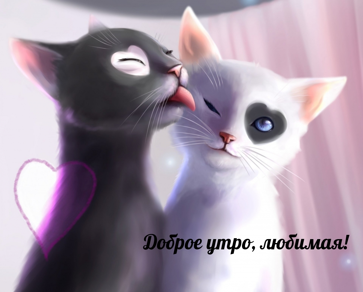 Доброе утро, любимая!