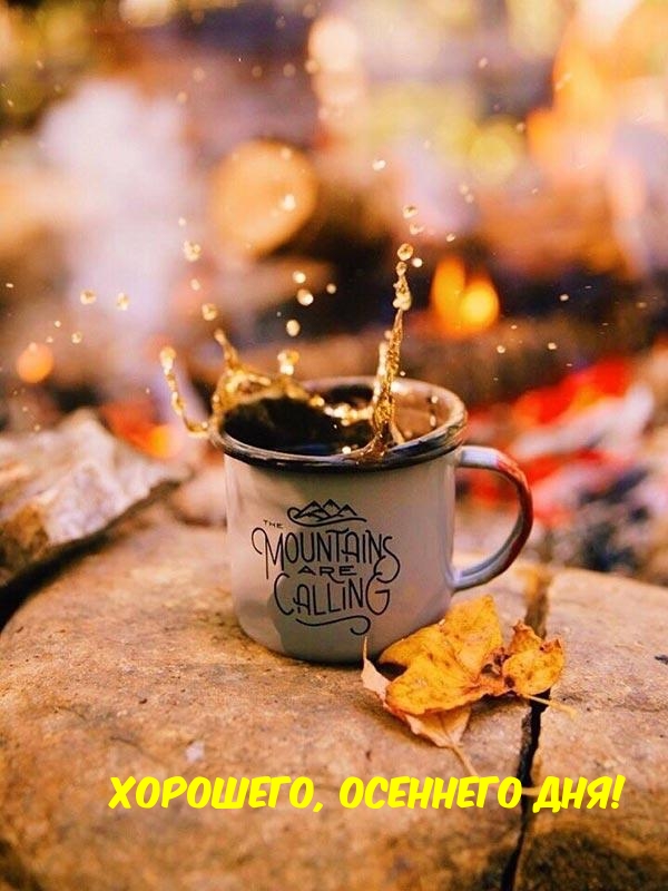 Хорошего, осеннего дня!