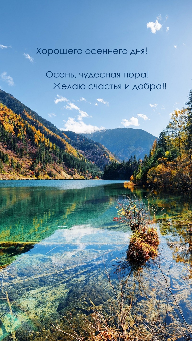 Хорошего осеннего дня!