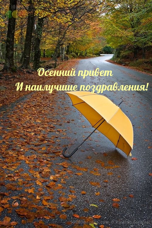 Осенний привет и наилучшие поздравления!