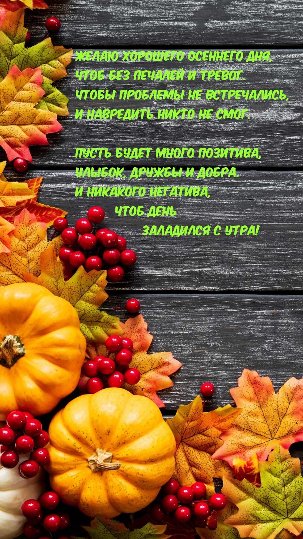 Желаю хорошего осеннего дня