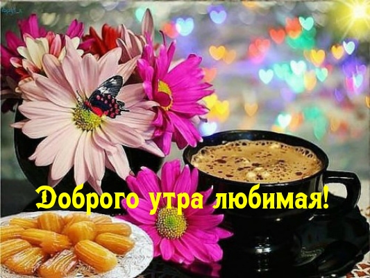 Доброго утра любимая!