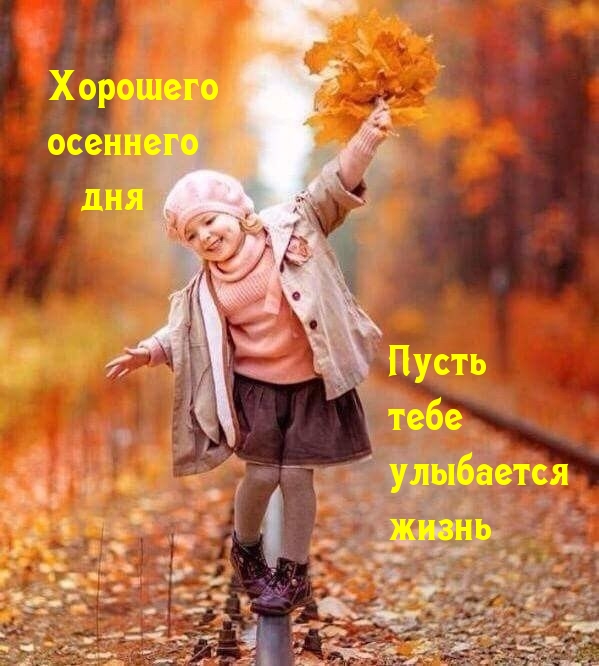 Хорошего осеннего дня