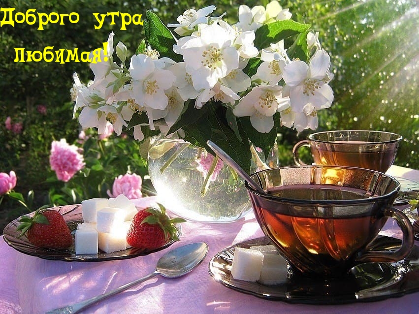 Доброго утра любимая!