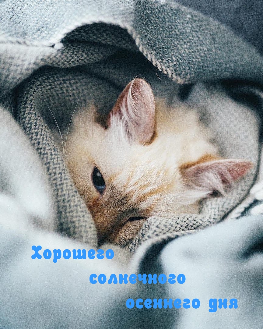 Хорошего солнечного осеннего дня