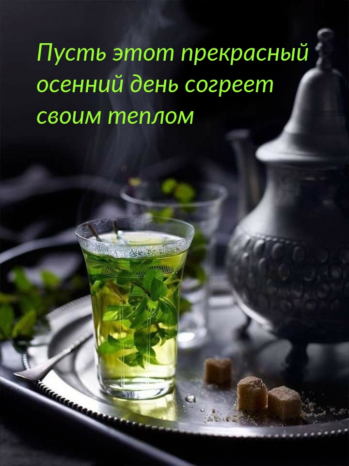 Пусть этот прекрасный осенний день согреет своим теплом