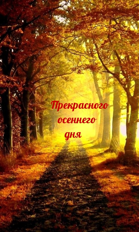 Прекрасного осеннего дня