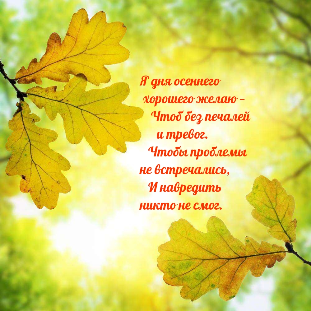 Я дня осеннего хорошего желаю