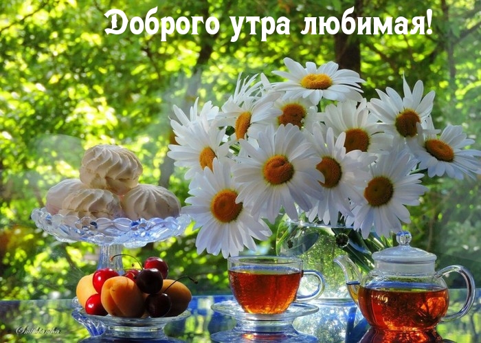 Доброго утра любимая!