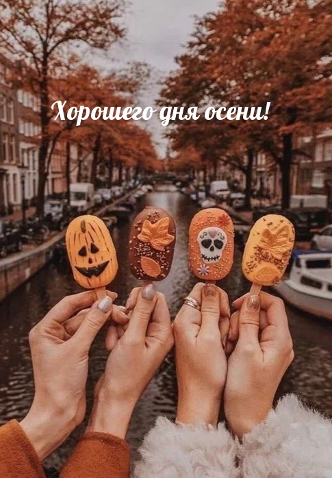 Хорошего дня осени!