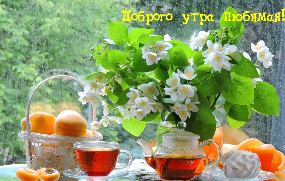 Доброго утра любимая!
