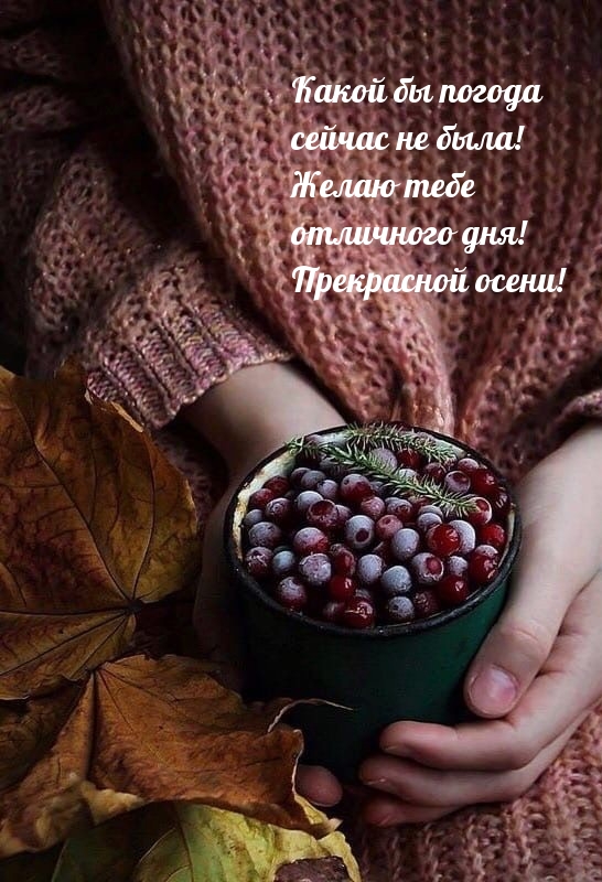 Желаю тебе отличного дня! Прекрасной осени!