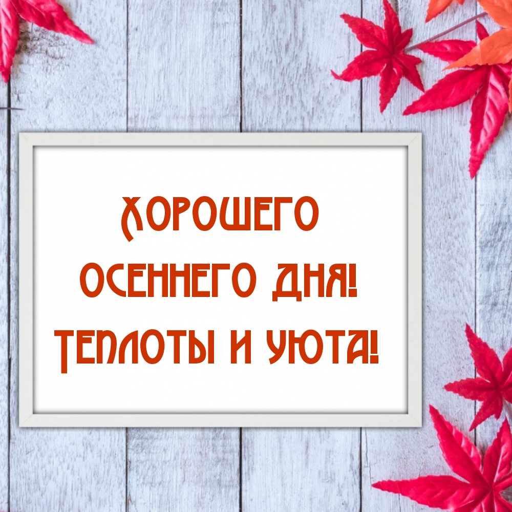 Хорошего осеннего дня! Теплоты и уюта!