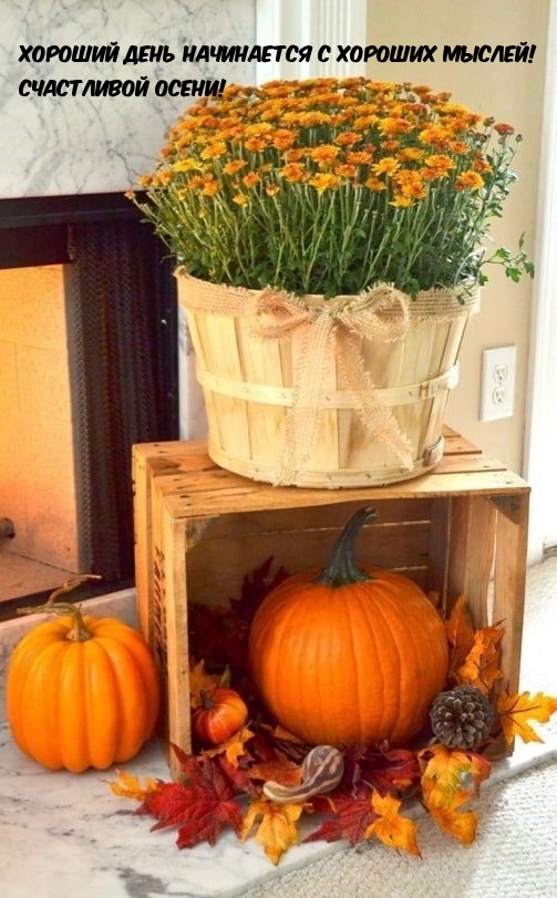 Хороший день начинается с хороших мыслей! Счастливой осени!
