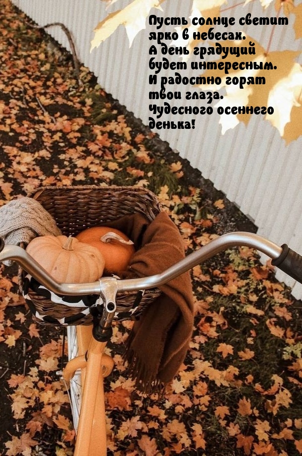 Чудесного осеннего денька!