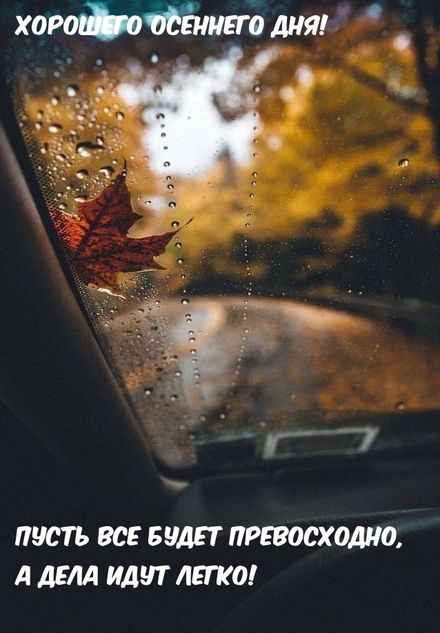 Хорошего осеннего дня!