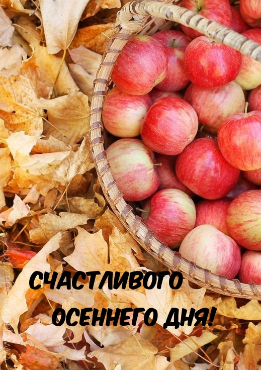 Счастливого осеннего дня!