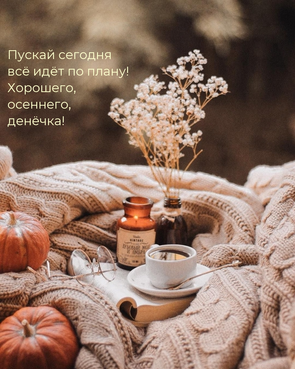 Пускай сегодня всё идёт по плану!