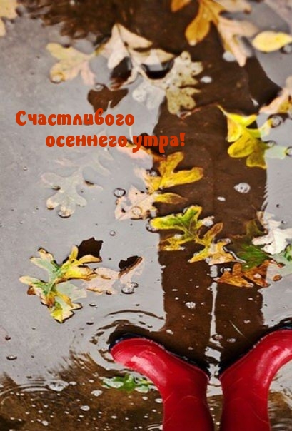 Счастливого осеннего утра!