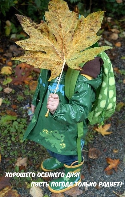 Картинка - Хорошего осеннего дня! Пусть погода только радует!.