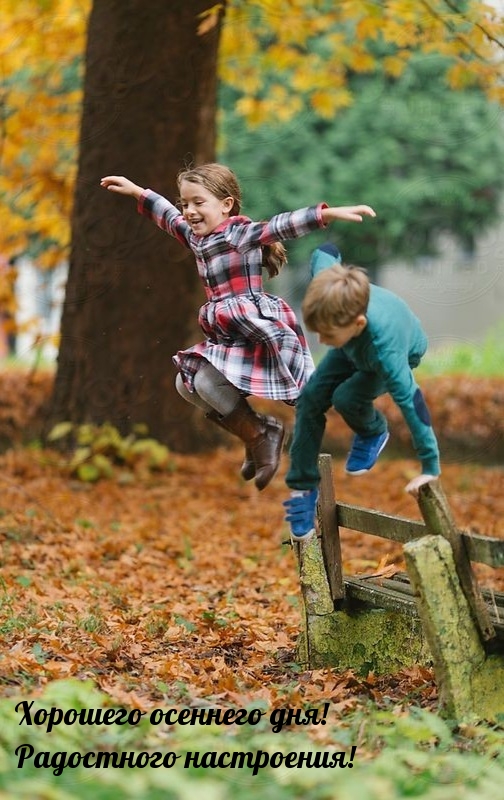 Хорошего осеннего дня! Радостного настроения!