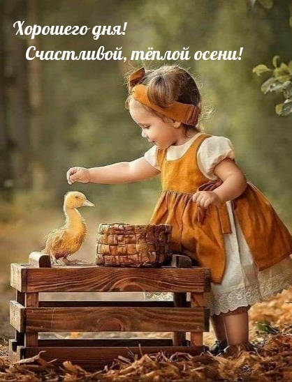 Хорошего дня! Счастливой, тёплой осени!