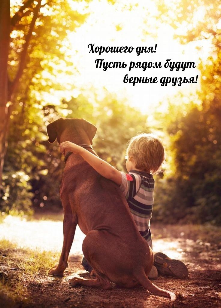 Хорошего дня! Пусть рядом будут верные друзья!