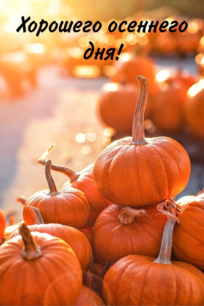 Хорошего осеннего дня!