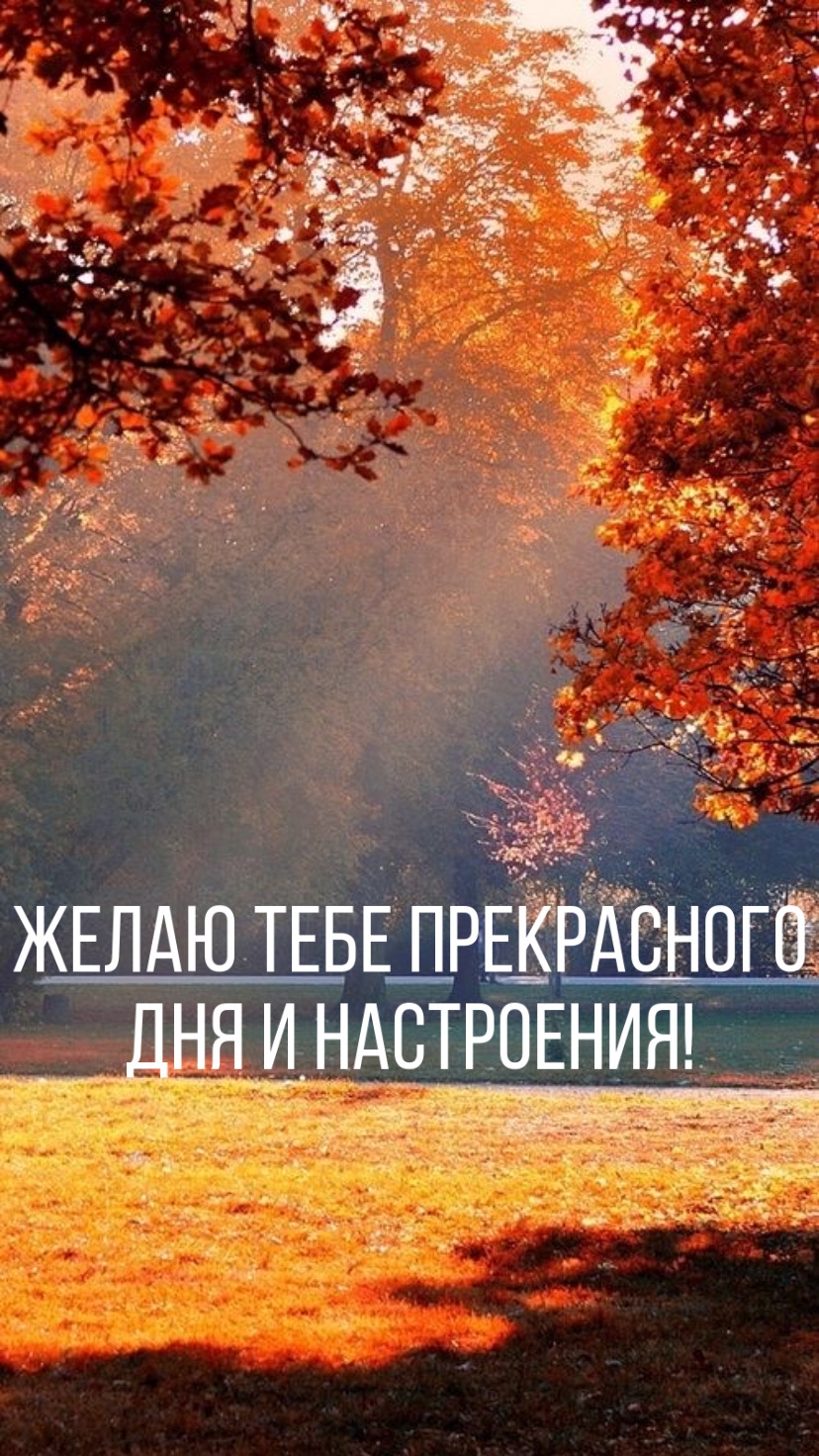 Желаю тебе прекрасного дня и настроения!