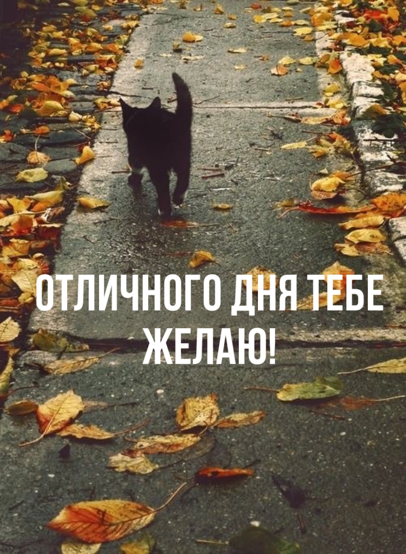 Отличного дня тебе желаю!