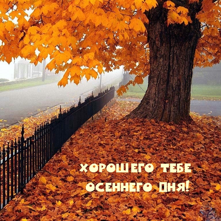 Хорошего тебе осеннего дня!