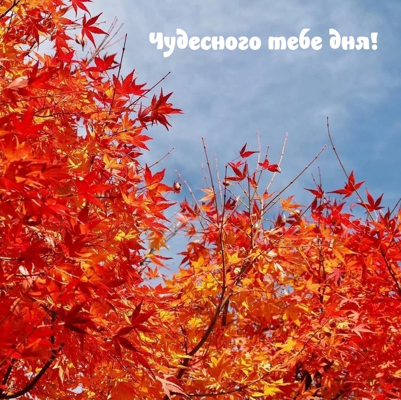 Чудесного тебе дня!