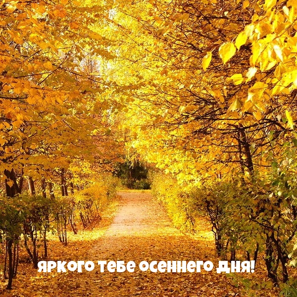 Яркого тебе осеннего дня!