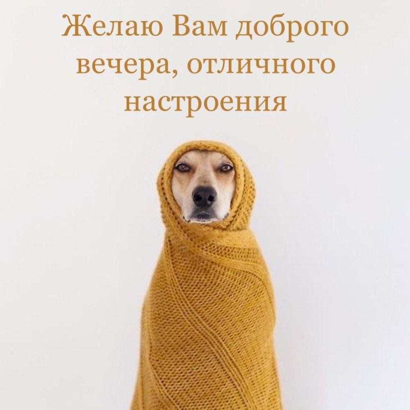 Желаю Вам доброго вечера, отличного настроения